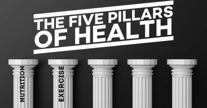 Do you know what the Second Pillar of Health is? image